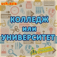 Колледж или Университет