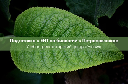 Подготовка к ЕНТ по биологии