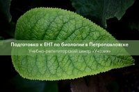 Подготовка к ЕНТ по биологии