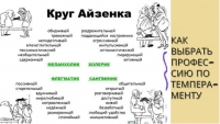 Как выбрать профессию по темпераменту